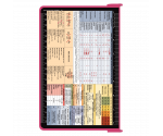 WhiteCoat Clipboard® - Pink Primary Care Edition